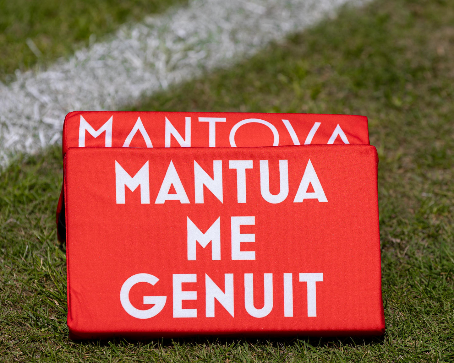 CUSCINO STADIO A LIBRO MANTOVA1911