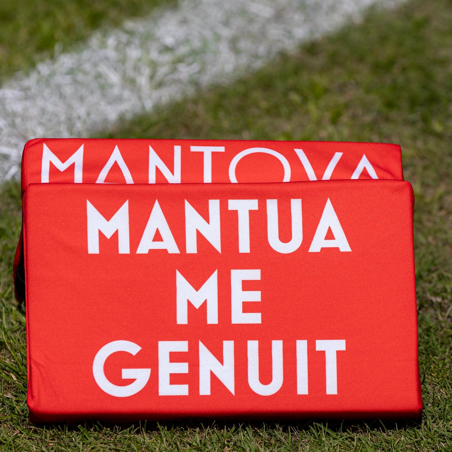 CUSCINO STADIO A LIBRO MANTOVA1911