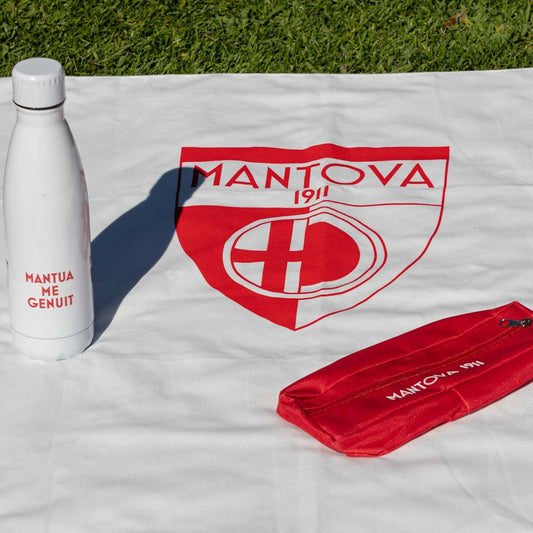 TELO ASCIUGAMANO MANTOVA1911