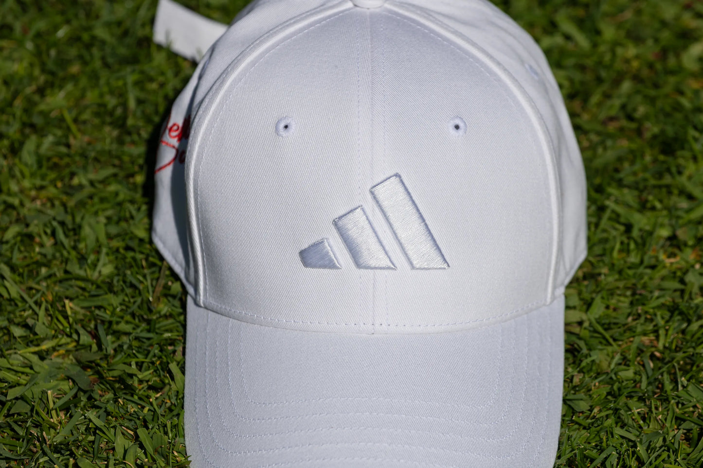 CAPPELLINO