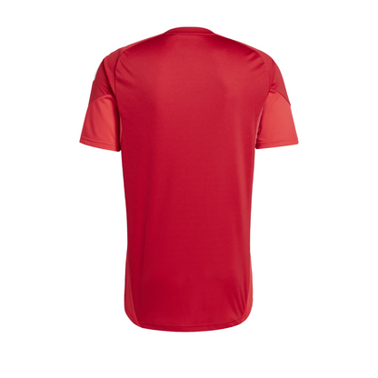 TRAINING T-SHIRT JUNIOR MANTOVA1911