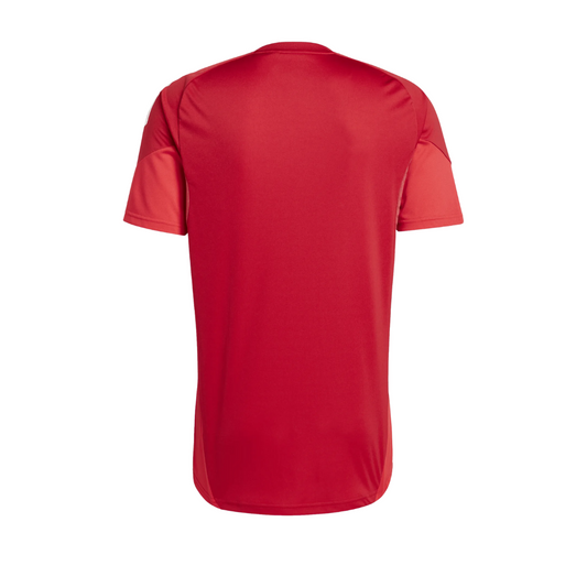 TRAINING T-SHIRT JUNIOR MANTOVA1911
