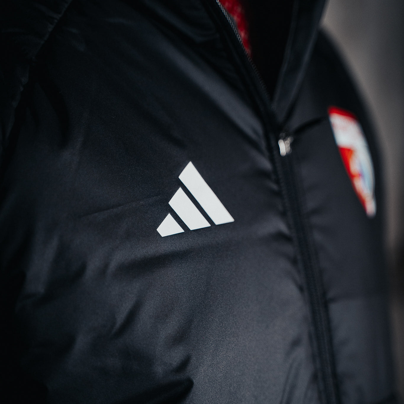 PIUMINO INVERNALE MANTOVA 1911