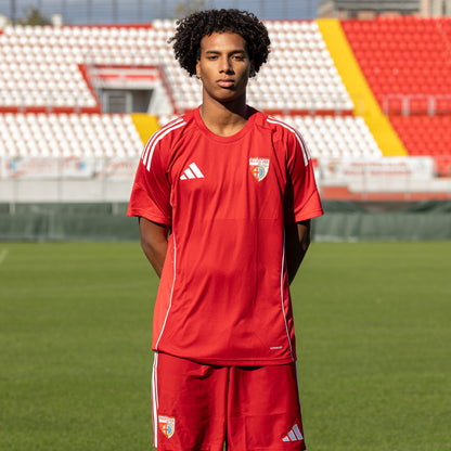 TRAINING T-SHIRT MANTOVA 1911