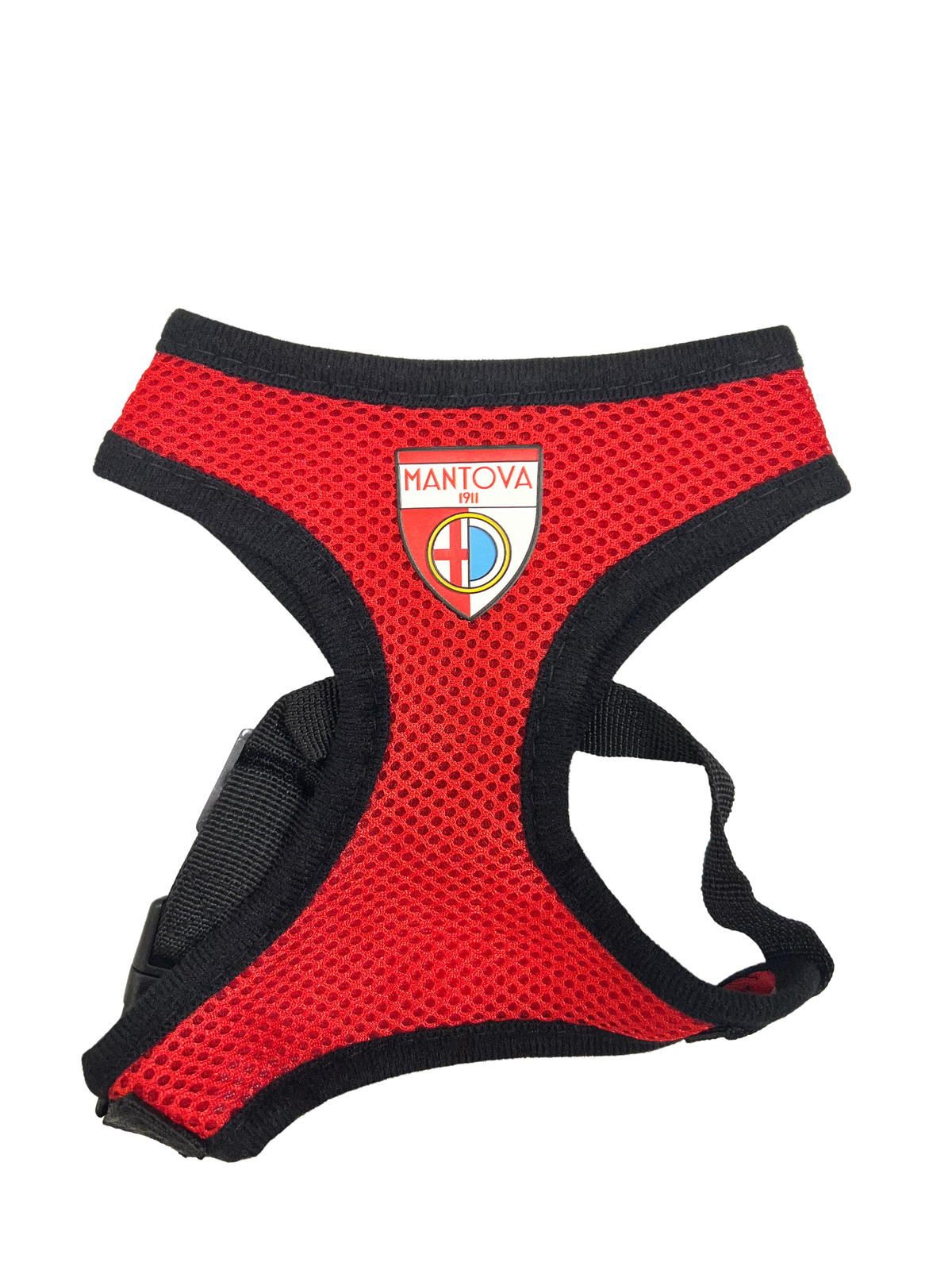 Mantova 1911 Pettorina Cani