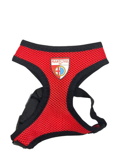 Mantova 1911 Pettorina Cani